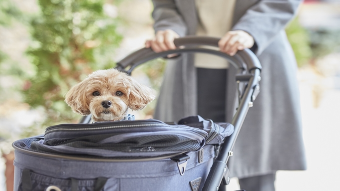 ルシアン旧軽井沢 宿泊プラン一覧 楽天トラベル ルシアン旧軽井沢 宿泊プラン一覧 楽天トラベル
